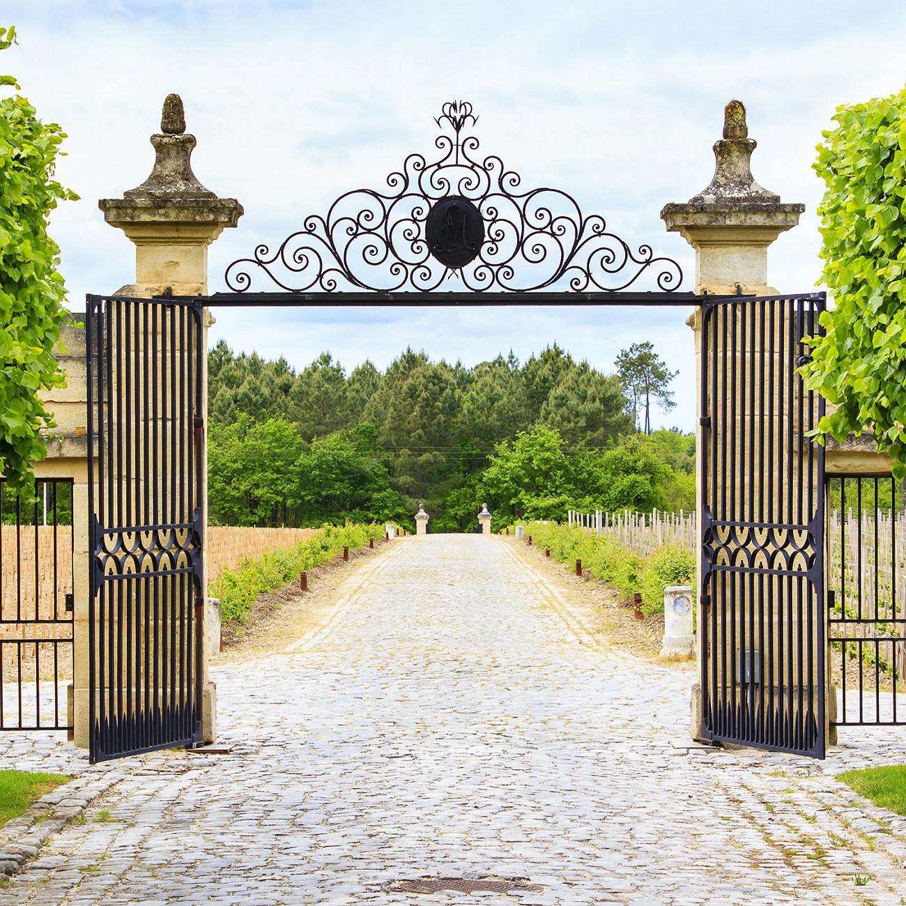picture of some luxury iron gates