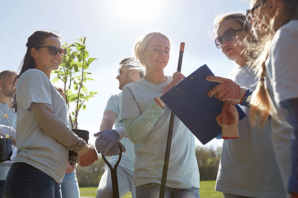 people looking at clipboard as they plant a tree